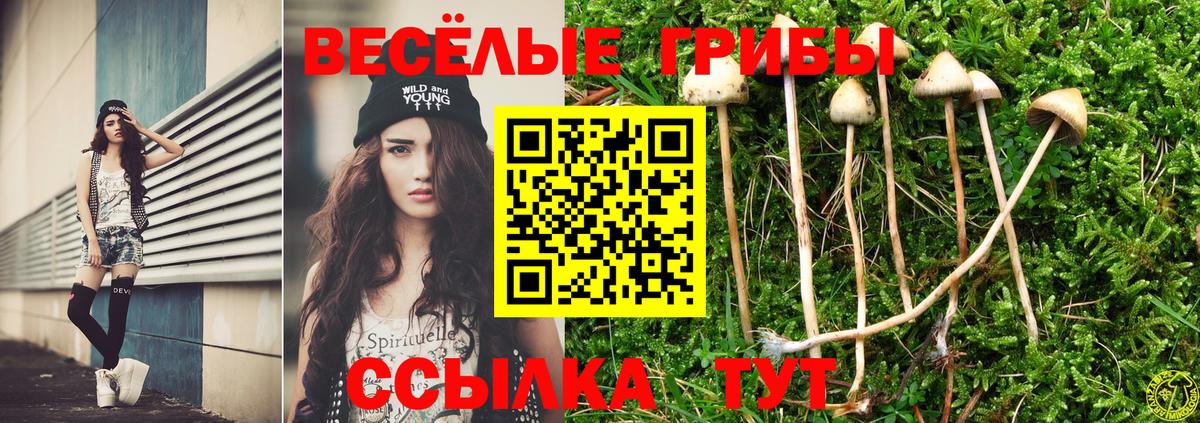 Вязьма  Псилоцибиновые грибы мухоморы  Вход с VPN 