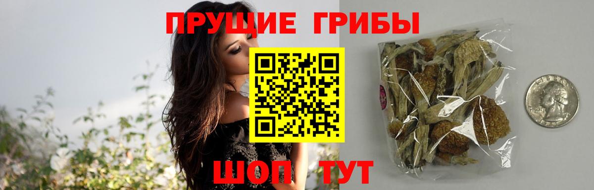 Галлюциногенные грибы Magic Shrooms Вязьма